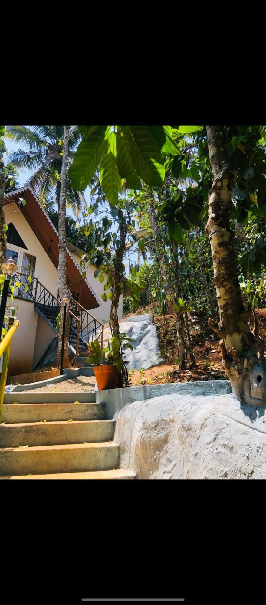 Wood Castle Munnar Guest House Exterior photo